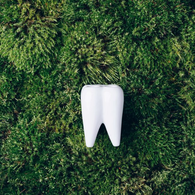 Toy tooth sitting on grass